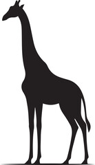 Giraffe silhouette vector with abstract woman figure outline in black style