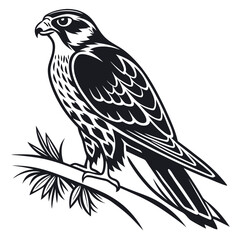 Obraz premium Stylized falcon perched on a branch, isolated on white background