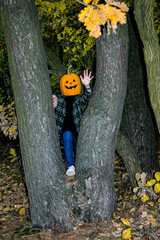 Halloween. Pumpkin head. Boy in Halloween costume with pumpkin head between two tree trunks in the forest.