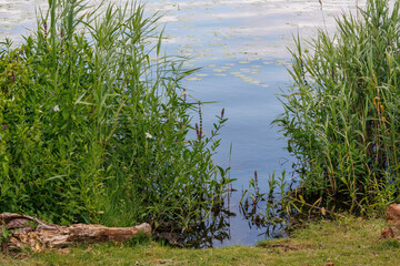 Die Insel Werder in den Havelkssen in Brasndenburg