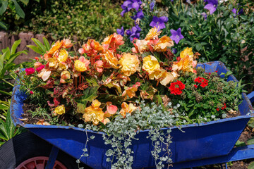 Die Insel Werder in den Havelkssen in Brasndenburg