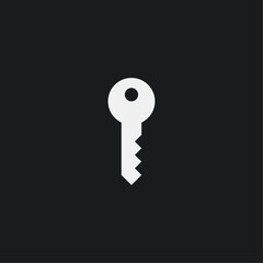 Key logo icon flat vector design