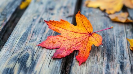 Obraz premium A single orange maple leaf on a wooden surface with other fallen leaves in the background.
