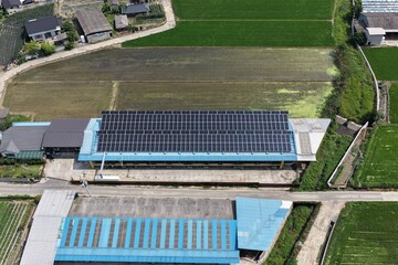 Solar Panels Installed on Hanwoo Cattle Farm Roof in Rural Korea - 한우 축사 지붕 위에...