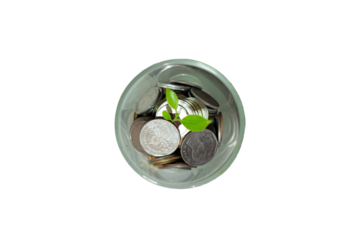 Coins in Glass with Plant Growing, money tree on white background, png