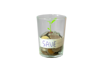 Coins in Glass with Plant Growing, money tree on white background, png