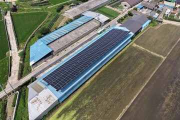 Solar Panels Installed on Hanwoo Cattle Farm Roof in Rural Korea - 한우 축사 지붕 위에...