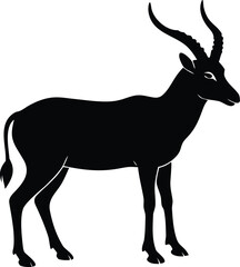 desert addax silhouette vector illustration