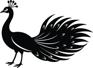 peacock bird silhouette vector icon design