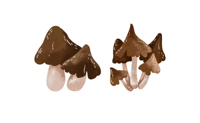 Forest hand drawn watercolor mushrooms