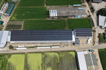 Solar Panels Installed on Hanwoo Cattle Farm Roof in Rural Korea - 한우 축사 지붕 위에...