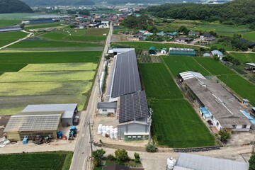 Solar Panels Installed on Hanwoo Cattle Farm Roof in Rural Korea - 한우 축사 지붕 위에...