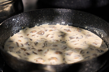 A pot of creamy mushroom sauce simmers on the stove. The sunlight casts shadows on the mixture as the cook