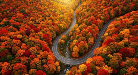 Aerial view of a winding road through vibrant autumn foliage scenery