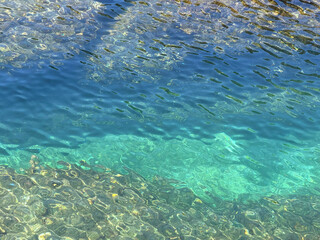 Clear blue sea water among rocks covered with algae.