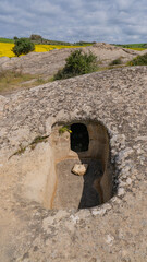 Prehistoric Domus de Janas tomb carved in stone, surrounded by lush Sardinian forest