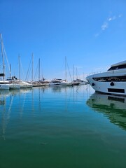 Taggia Arma, Italy - May 11, 2025: Panoramic view to the ligurian riviera landscape in spring. Beautiful spring flowers in the background of the blue sea. 
Italian spring days.