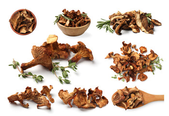 Dried mushrooms and herbs isolated on white, set