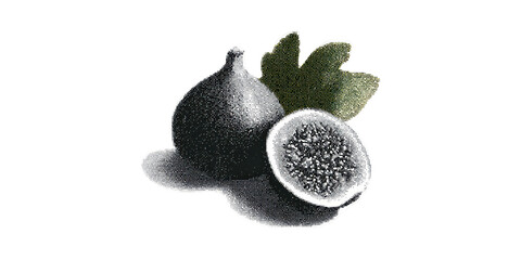 Vintage Fig Fruit In Retro Engraving. Whole And Halved Fig With Leaves Illustration Isolated On Transparent Background