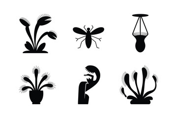 Venus flytrap plant with insect and pitcher plant silhouettes carnivorous plant