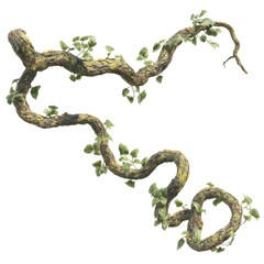 Obraz premium moss-covered branch with liana vines and fungi from rainforest floor isolated on transparent background