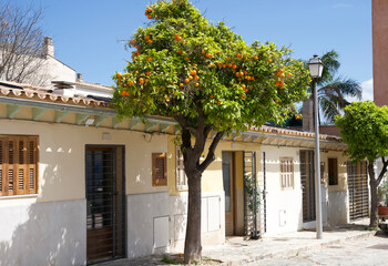 Vibrant orange tree stands in front of charming Mediterranean-style houses under a clear blue sky...