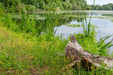 Potsdam und die brandenburgische Seeplatte