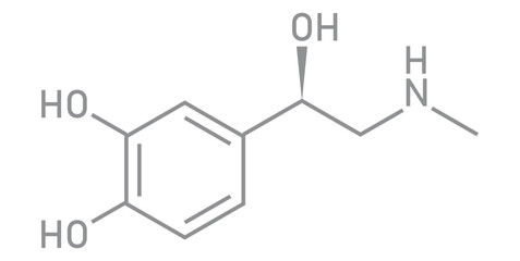 chemical structure of adrenaline or epinephrine.