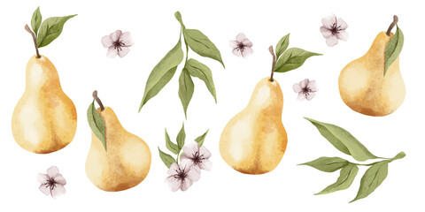 Set pears. Different herbs and flowers, hand-drawn. Vintage vector illustration of flowers. Colorful banner. An idea for wallpaper and textiles. Linear drawing. Rustic style.