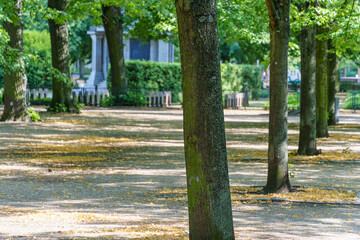 Potsdam und der Templiner See