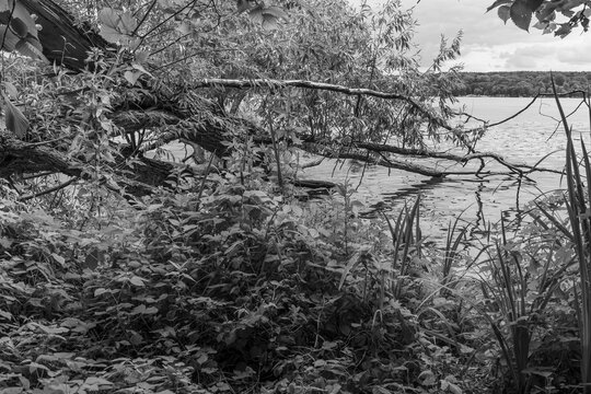 Potsdam und die brandenburgische Seeplatte