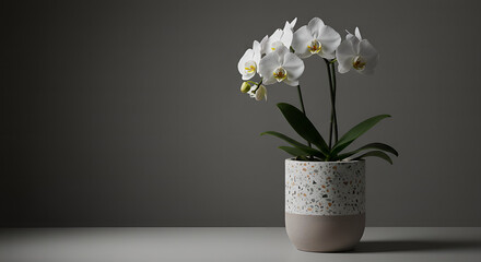 white flowers in a vase