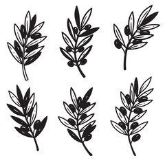 Fototapeta premium Elegant black and white hand drawn olive branch set isolated on white background