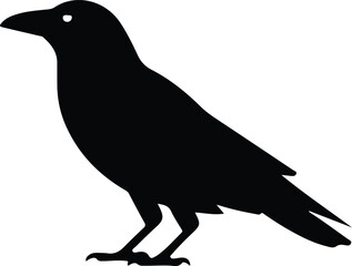 Obraz premium crow silhouette vector icon, silhouette of crow, vector illustration of crow, crow black symbol icon on white background.