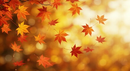 Falling Autumn Leaves with Warm Bokeh Light