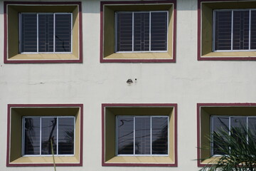 Ornamental architectural designed windows on the exterior wall 