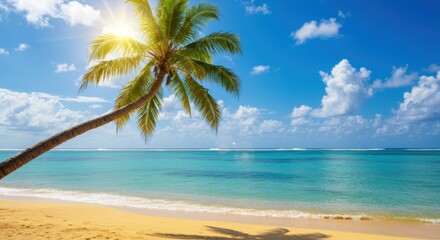 Tropical beach Beautiful with palms