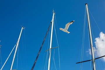sailing ship on blue sky