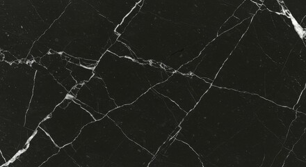 Abstract Black Stone Texture with White Veins