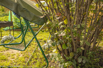 Metal garden swing in summer on the green grass on the background of the barbecue. Recreation on a country plot