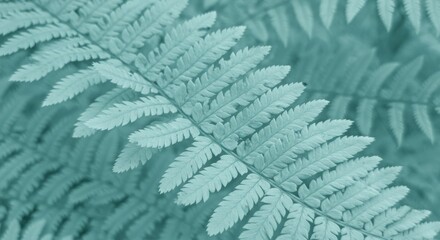 Close-up of Fern Frond with Delicate Leaflets in Soft Turquoise