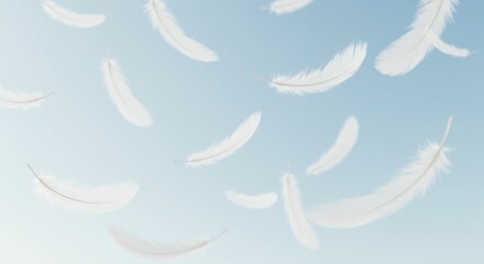 Floating Feathers on Light Blue Background - Gentle Breeze