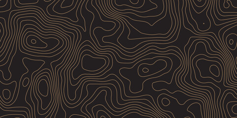 "Elegant topographic contour line pattern on dark background. Modern abstract design perfect for wallpaper, branding, packaging, maps, and digital interfaces. Seamless and minimal style"