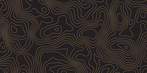 "Elegant topographic contour line pattern on dark background. Modern abstract design perfect for wallpaper, branding, packaging, maps, and digital interfaces. Seamless and minimal style"