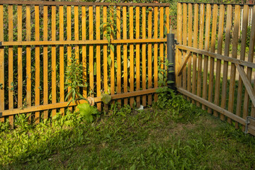 Rear inside corner of a new wooden staked fence in a garden with green grass. Parking area in the...