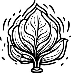 Obraz premium Lettuce or Cabbage line art icon 