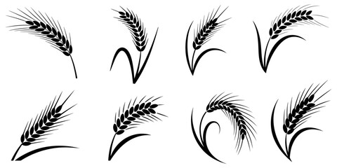 set of wheat ears, Wheat Ears Silhouette Set, A collection of eight black vector icons depicting various styles of wheat and rye ears with stalks, wheat icon, Grey Cereals icon set with rice, wheat.