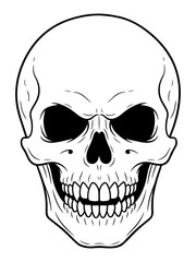 Stylized Black and White Line Art Illustration of a Human Skull with a Grinning Expression