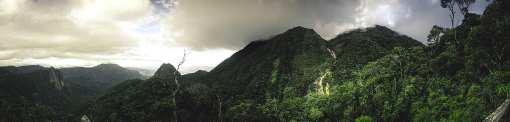 Veiled Peaks of the Malagasy Wilderness