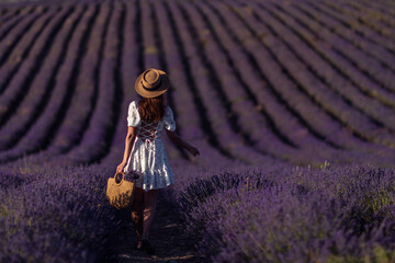 Fototapeta premium Lavender field woman Provence day, girl walks rows, holding flowers in tote bag, sunny.